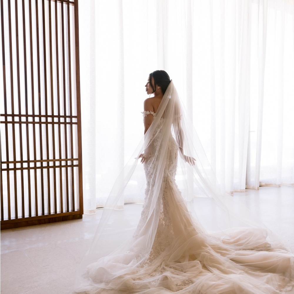 Galia Lahav Maya Wedding Gown Dress - Picture 10 of 13